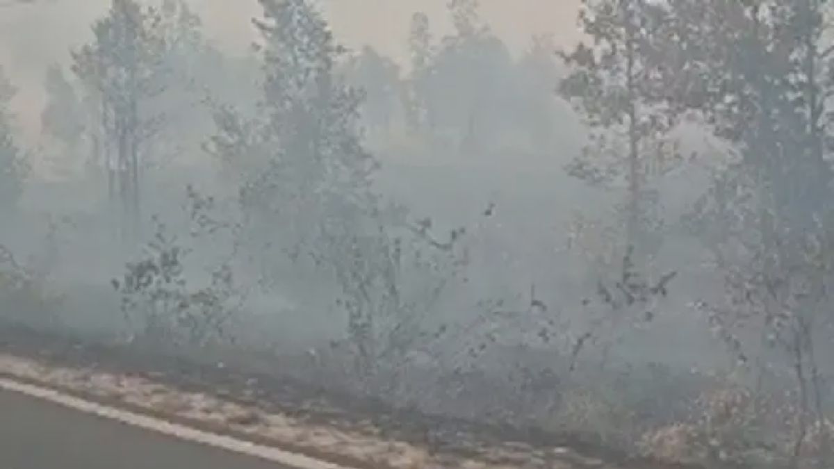 Kebakaran Hutan Kalimantan Meluas, Asap Mulai Ganggu Warga