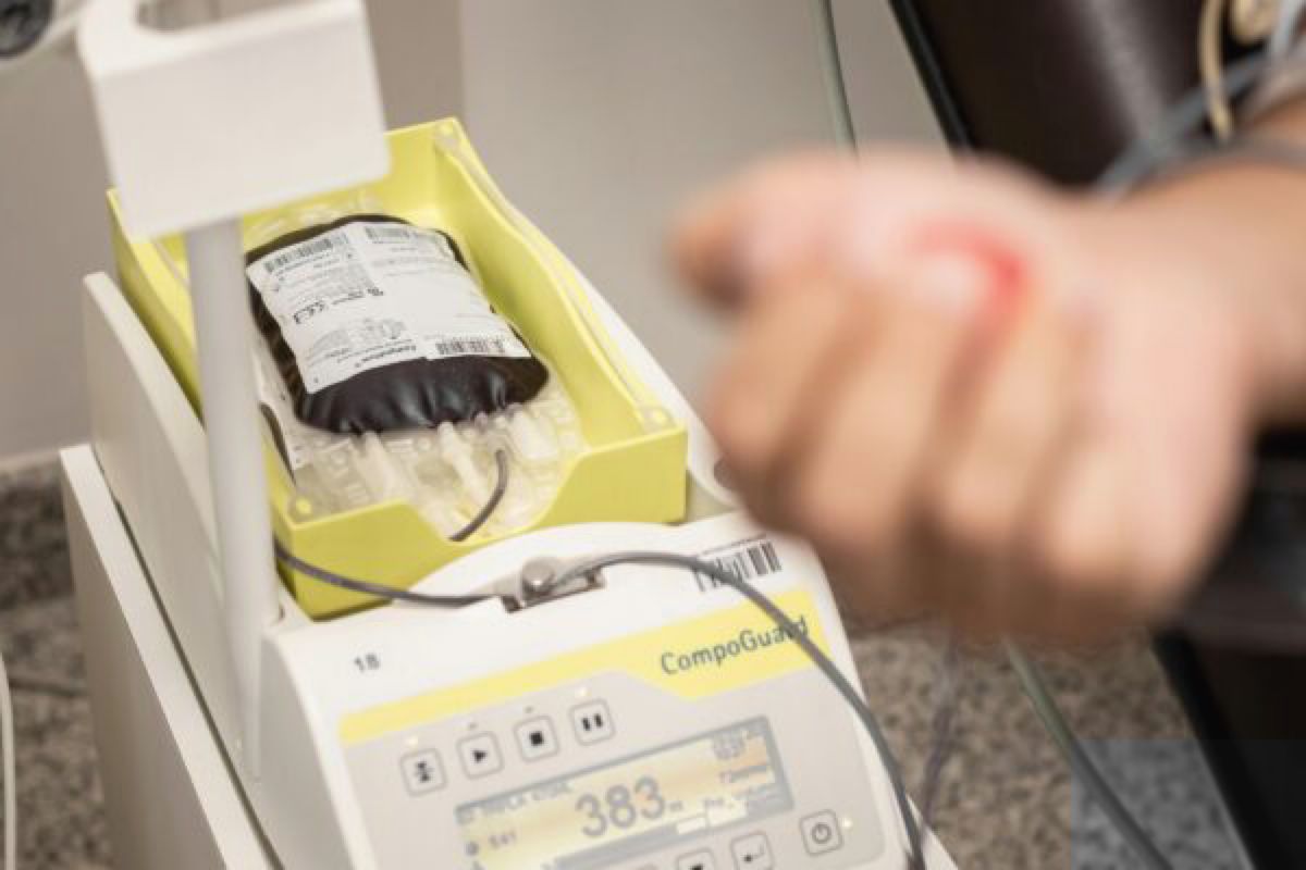 Gelombang Panas Picu Krisis Darah AS, Ketergantungan Plasma Eropa Terekspos