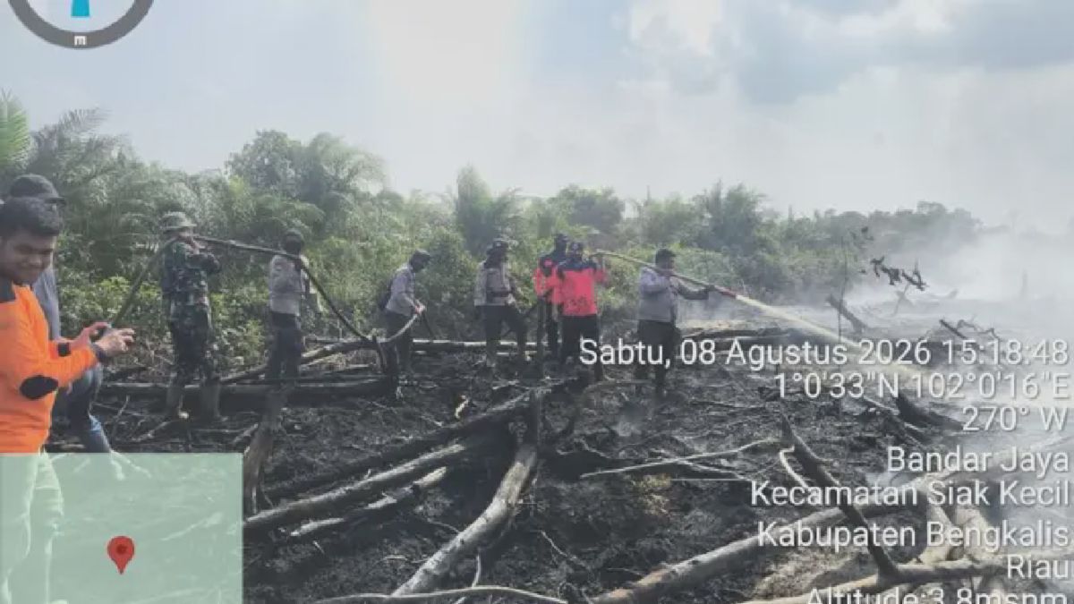 TNI-Polri Padamkan Karhutla di Desa Bandar Jaya Bengkalis