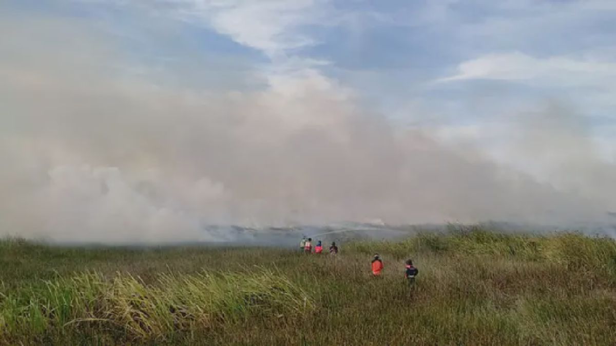 Karhutla Meluas di Kalimantan Selatan, Ribuan Hektare Lahan Terbakar