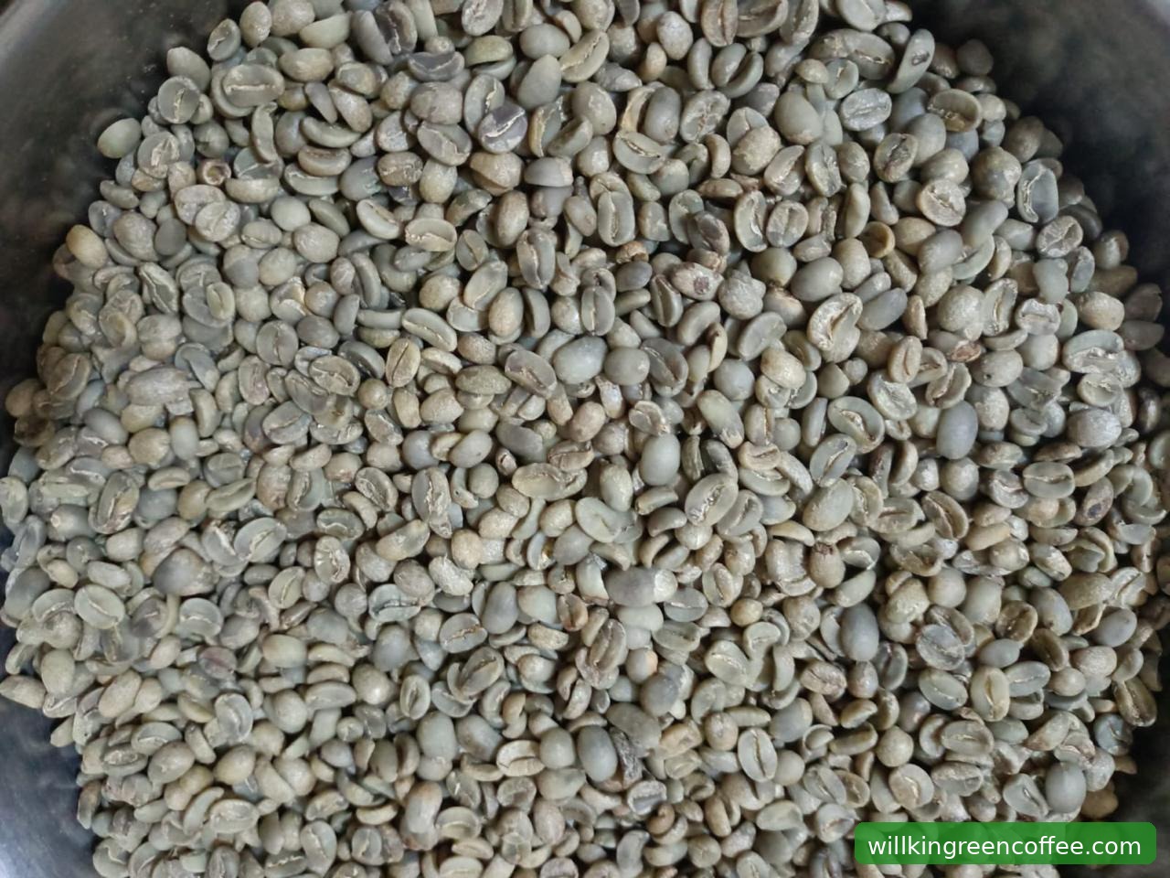 Willkin Green Coffee dan Komunitas Petani Kopi Indonesia
