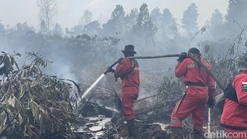 3 Cara Cek Kebakaran Hutan, Bisa Pakai Google Maps