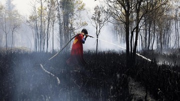 Studi: Asap Kebakaran Hutan Tak Cuma Serang Paru-paru