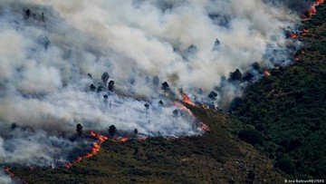 Eropa Makin Panas dan Kering, Kebakaran Hutan Bisa Meluas 3 Kali Lipat