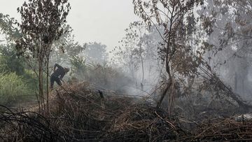 Kebakaran Lahan di Kulon Progo, Api Muncul di Bendungan Kamijoro