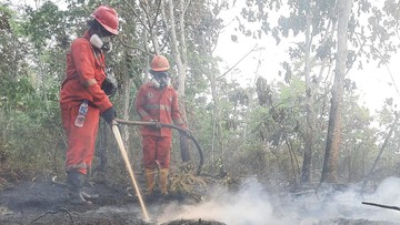 Kalteng Catat 66 Ribu Kasus ISPA Imbas Asap Karhutla