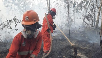 Kualitas Udara di Pontianak Dekati Level 'Beracun', Siswa Masih Sekolah